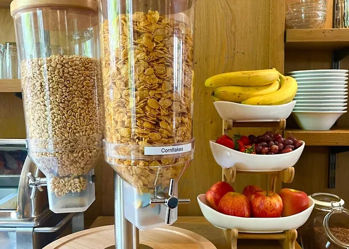 酒店 Paulaner Am Dom 美因河畔法兰克福