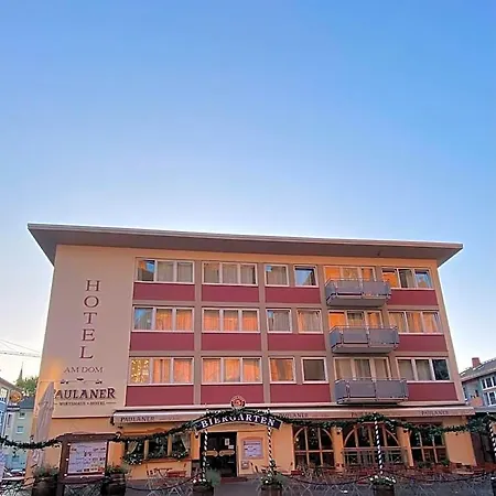 Hotel Paulaner Am Dom 3*